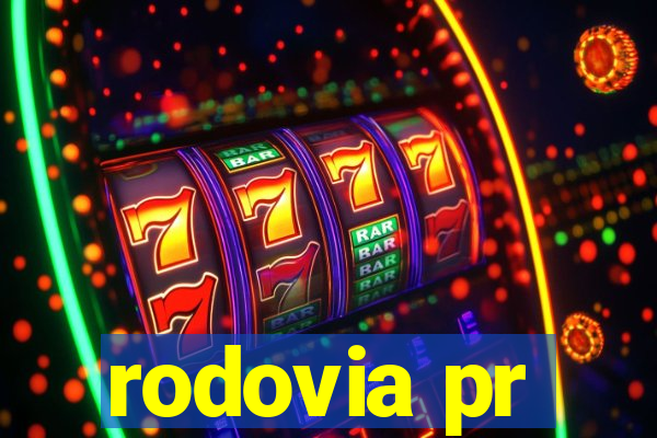 rodovia pr-317 km 155 onde fica